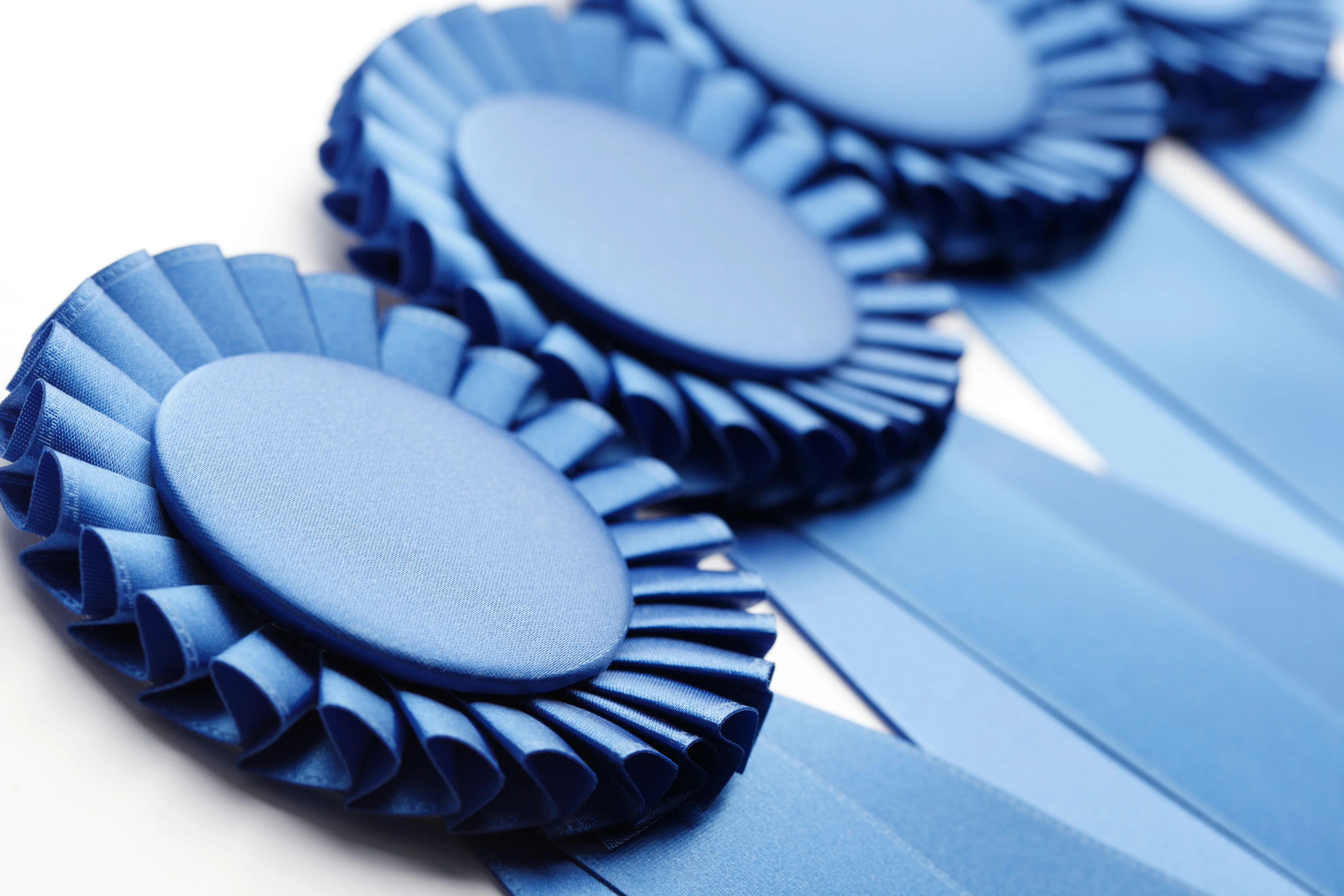 Blue ribbon laid out.