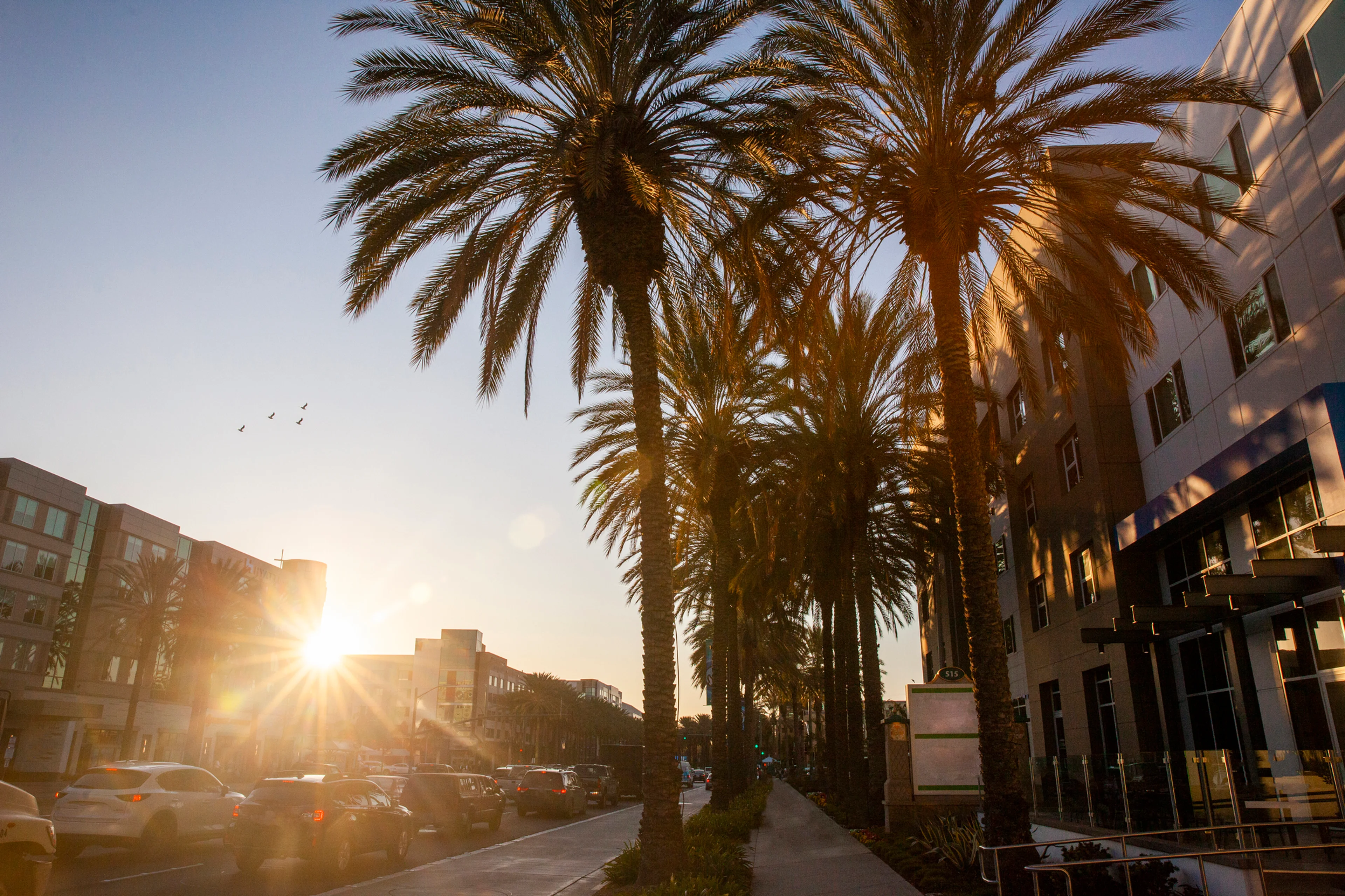 Anaheim California regulatory compliance school