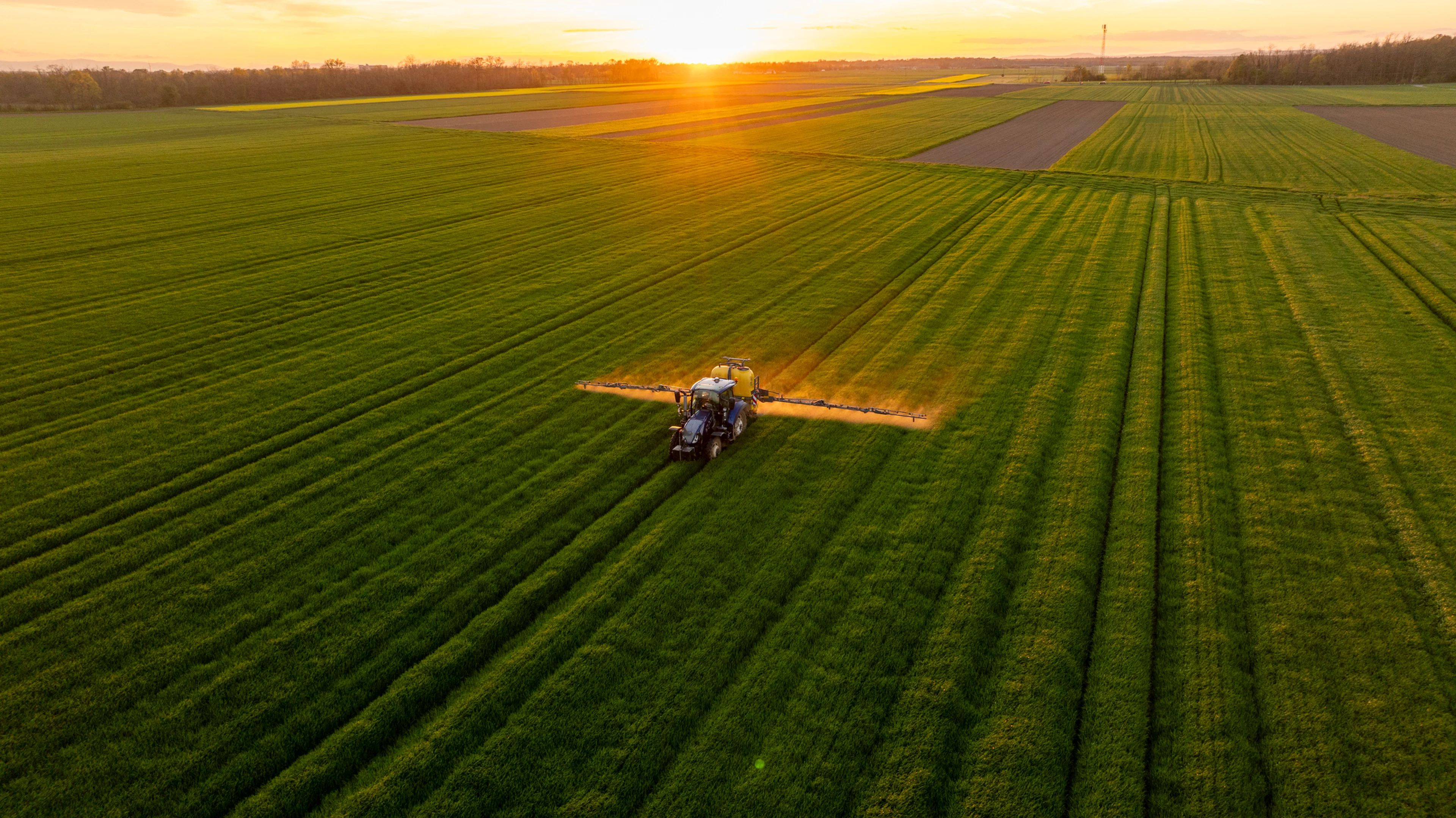 Agriculture and Food Industry CPA Services