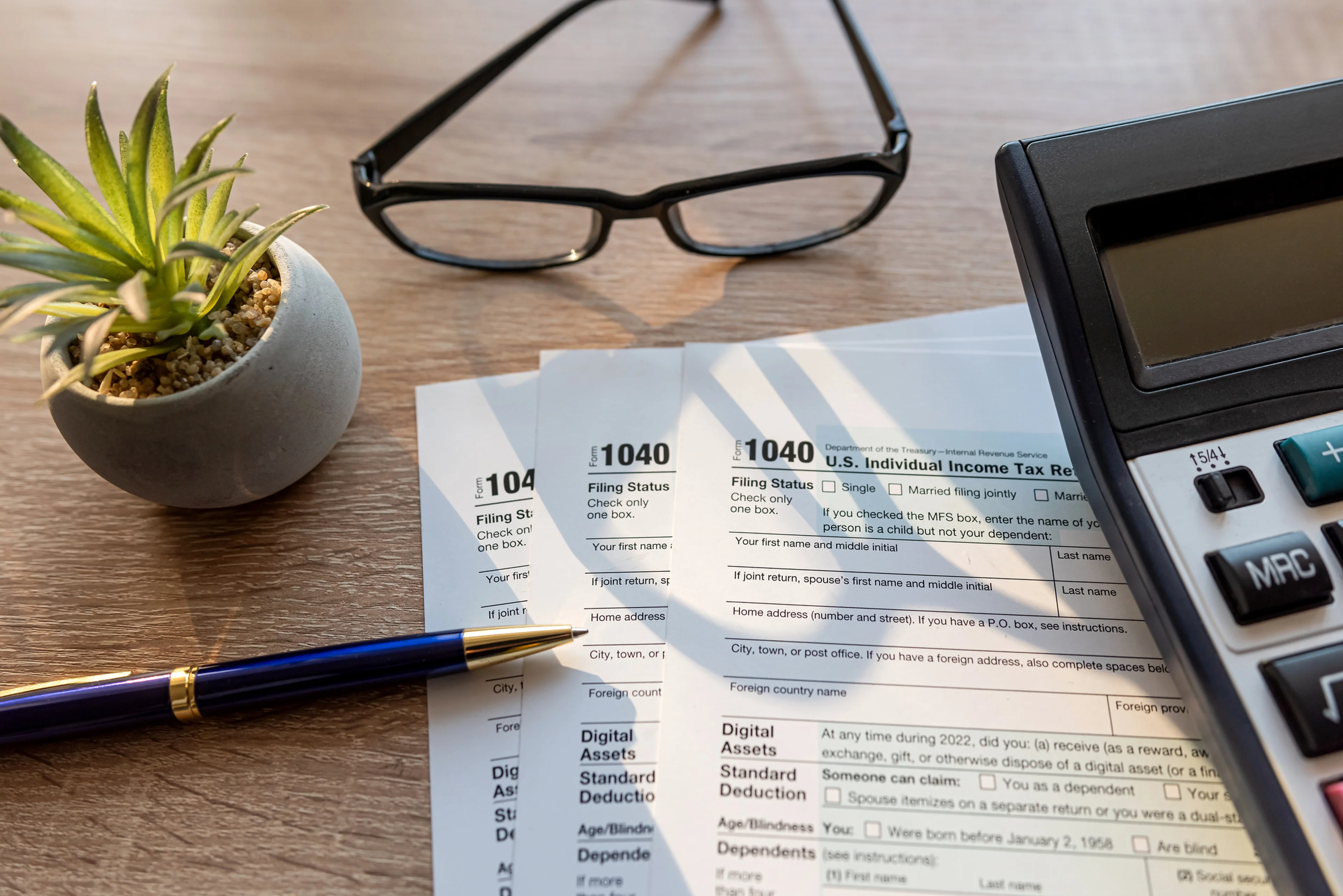 State and Local Tax Return 2025